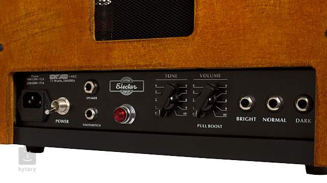 Epiphone on sale century amp