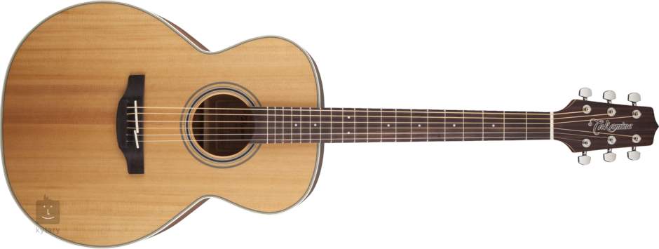 takamine g series gn20 ns