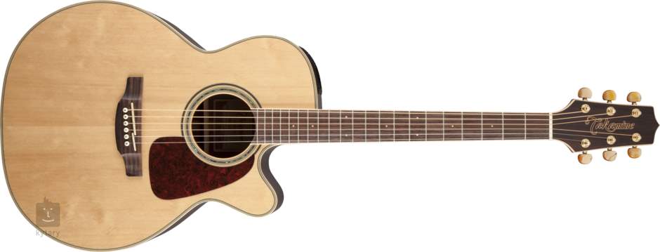 takamine gn71ce