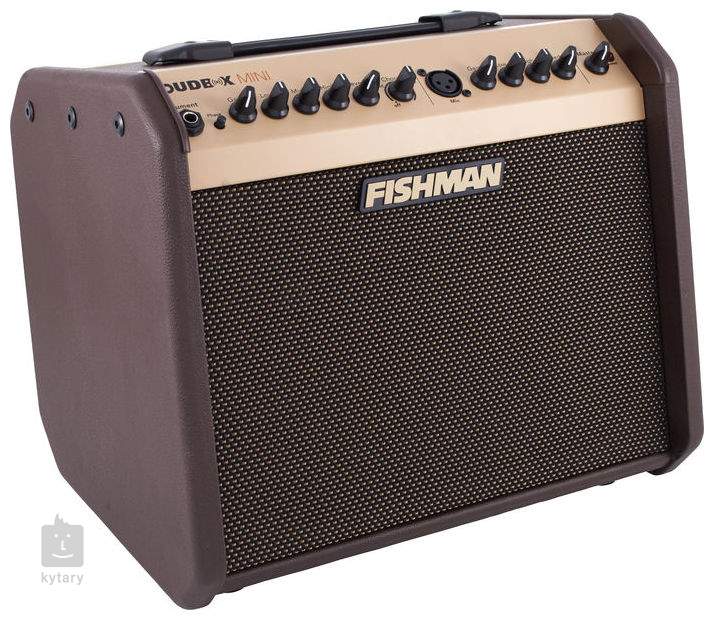 fishman loudbox mini electric guitar