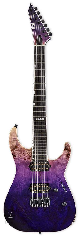 purple 7 string guitar