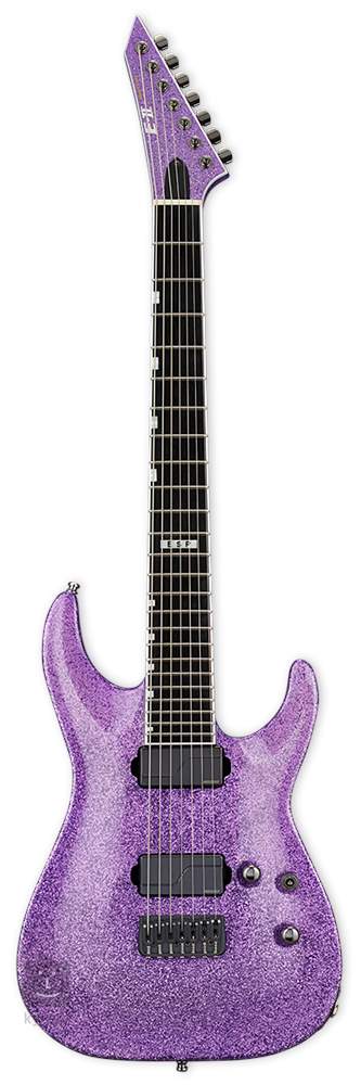 7 string guitar with fishman fluence