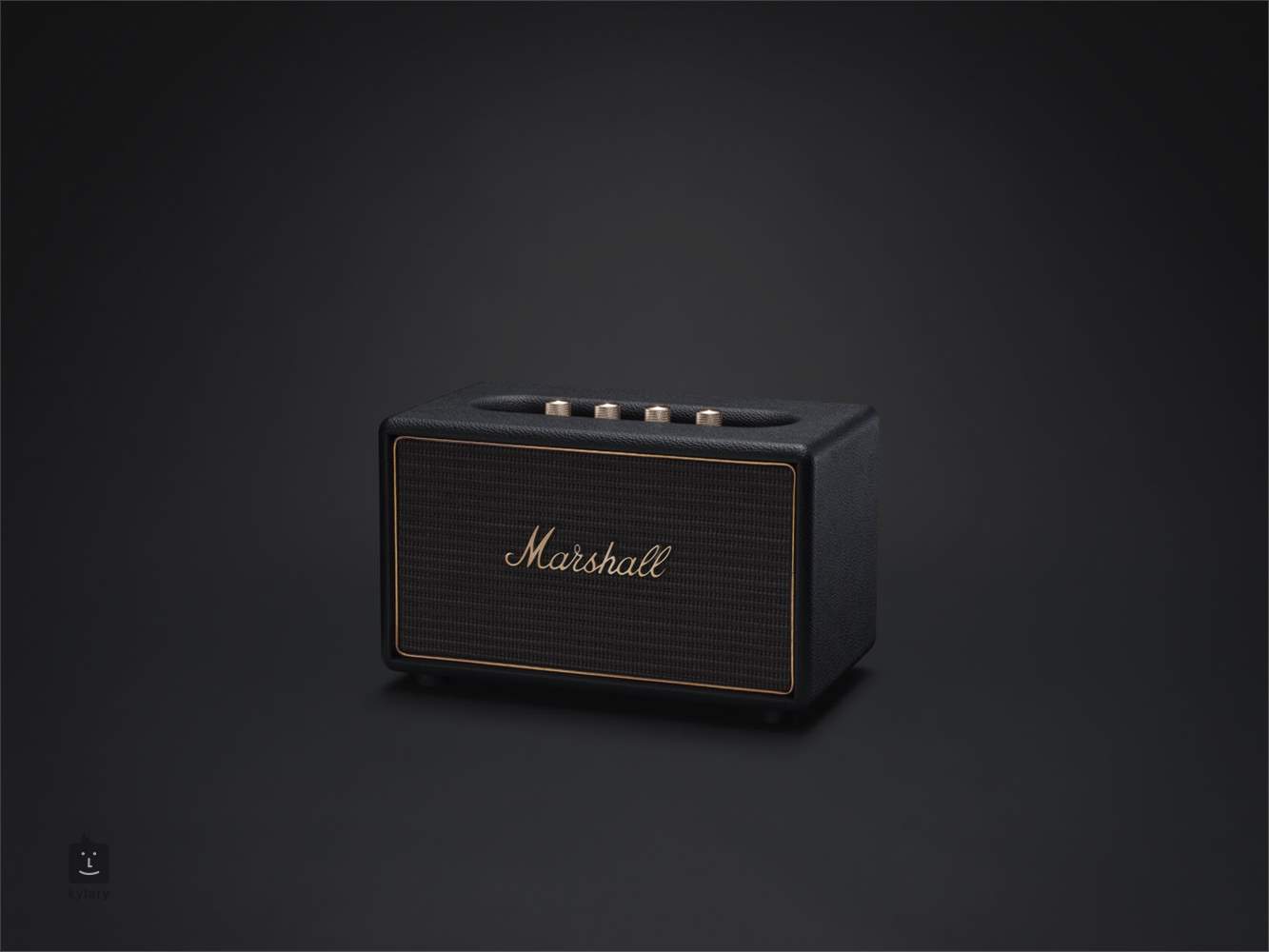 Marshall best sale sound bar