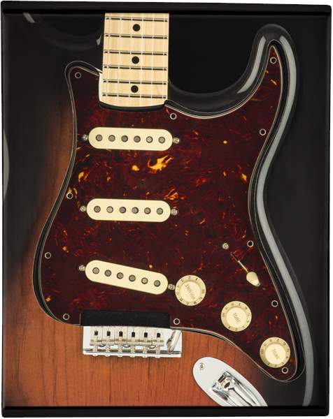 strat pickguard sss