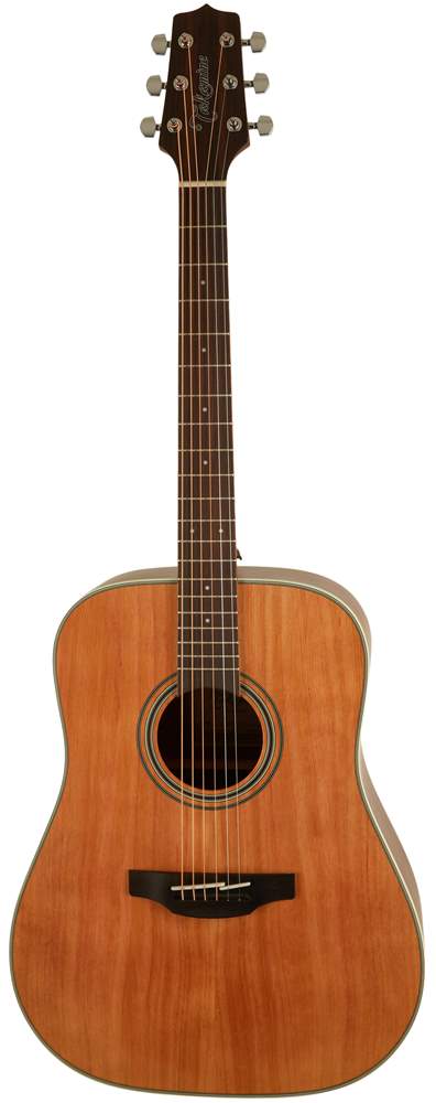 takamine gd 20 ns