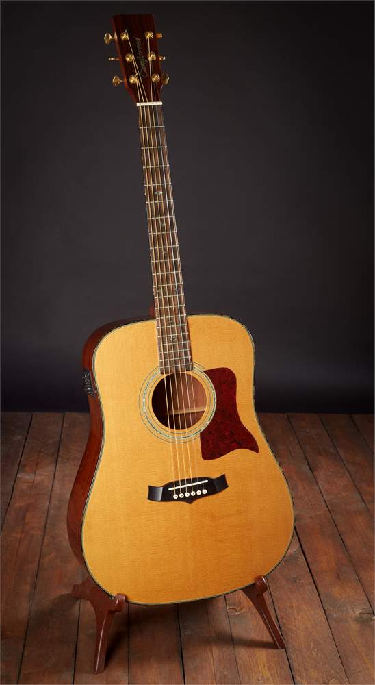 Tanglewood tw15 top