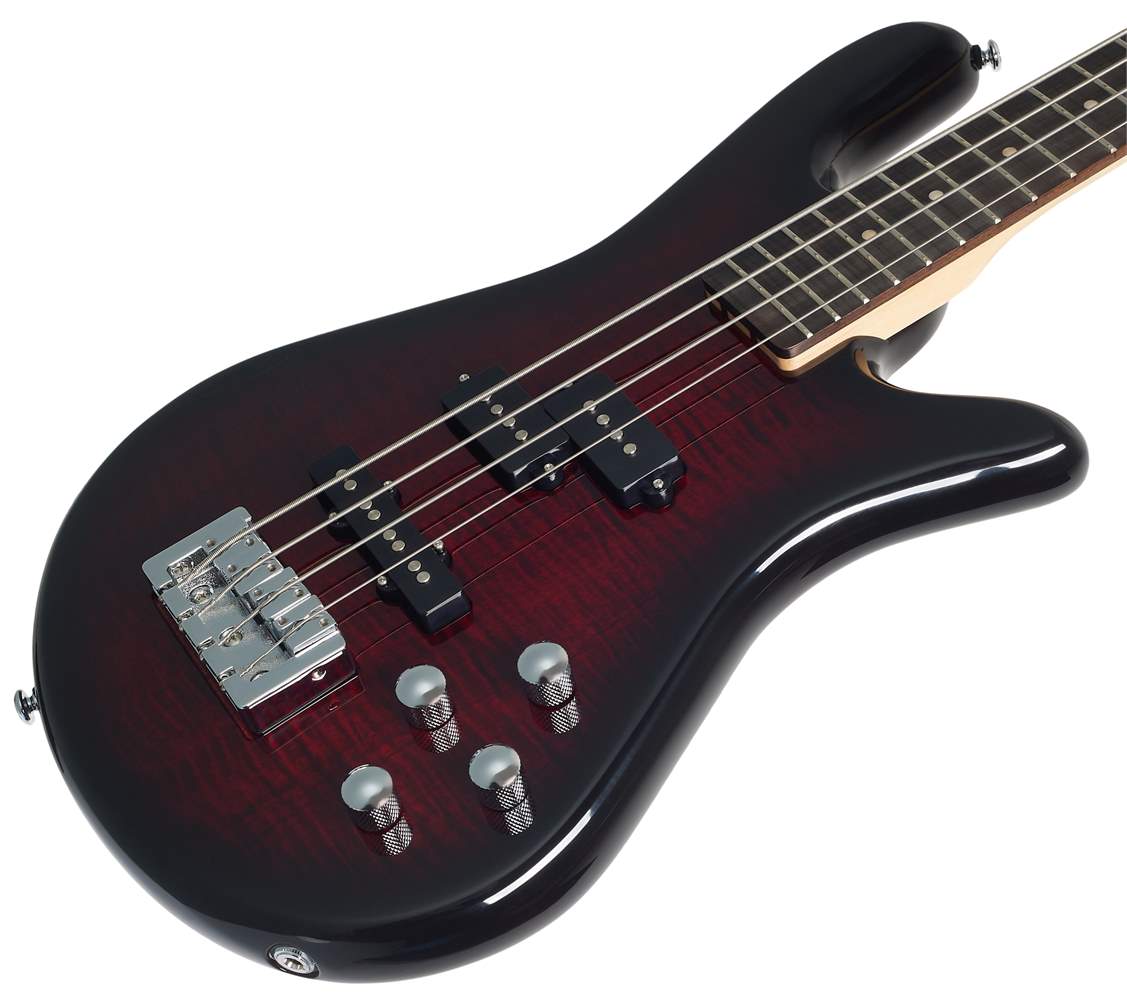 Spector legend deals 4 standard