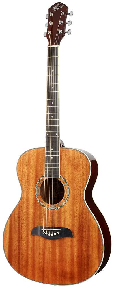 eg 523 takamine