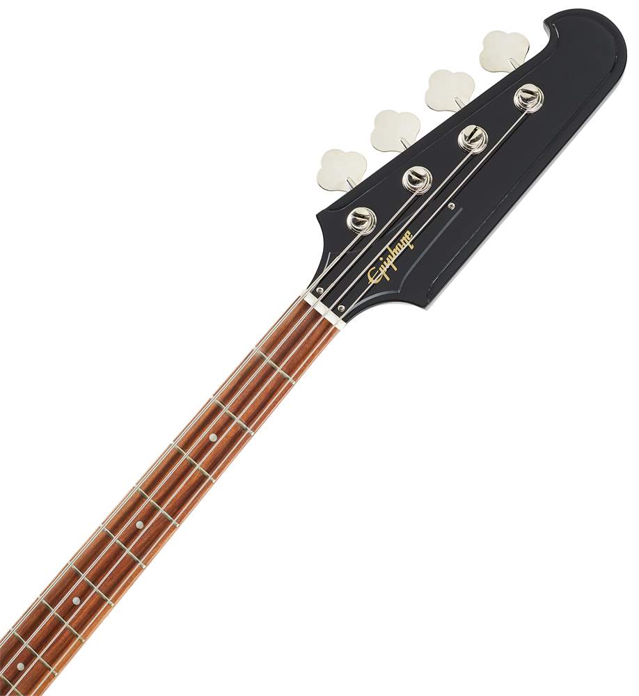 Epiphone thunderbird best sale vintage pro case