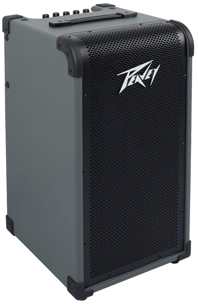 Peavey max 150 on sale bass amp