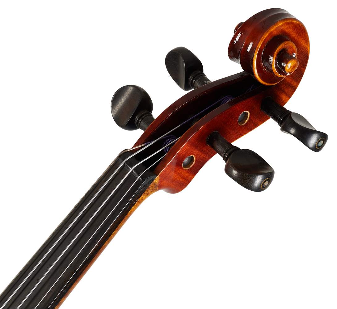 violin hip, فوق تخصص جراحی پلاستیک