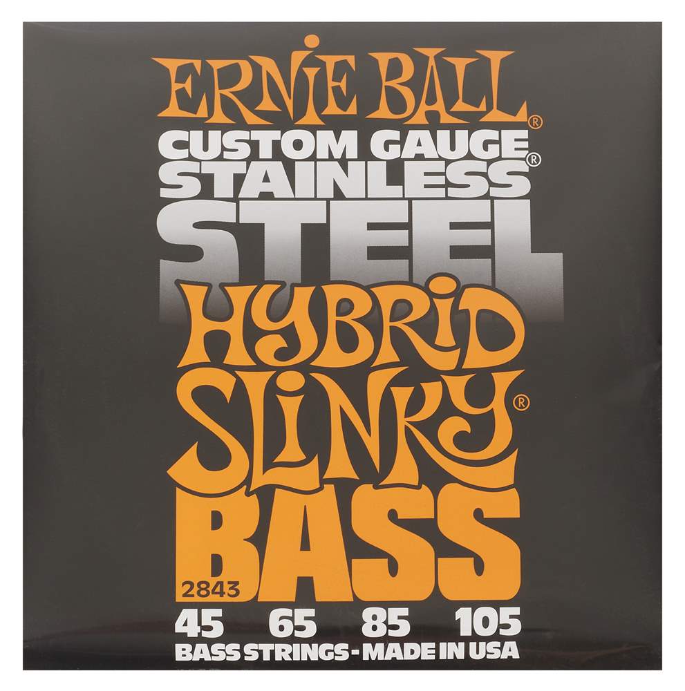 ernie ball 2843