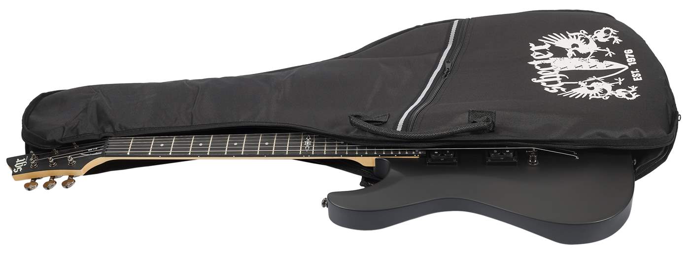 Schecter c1 on sale guitar case