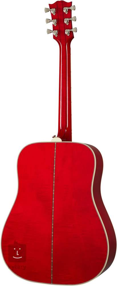 Dove sales acoustic guitar