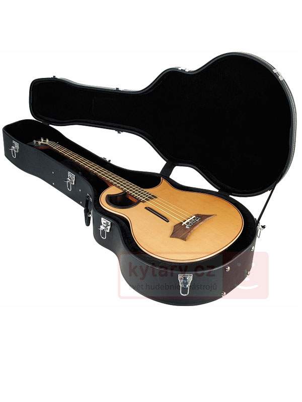 Acoustic best sale bass case