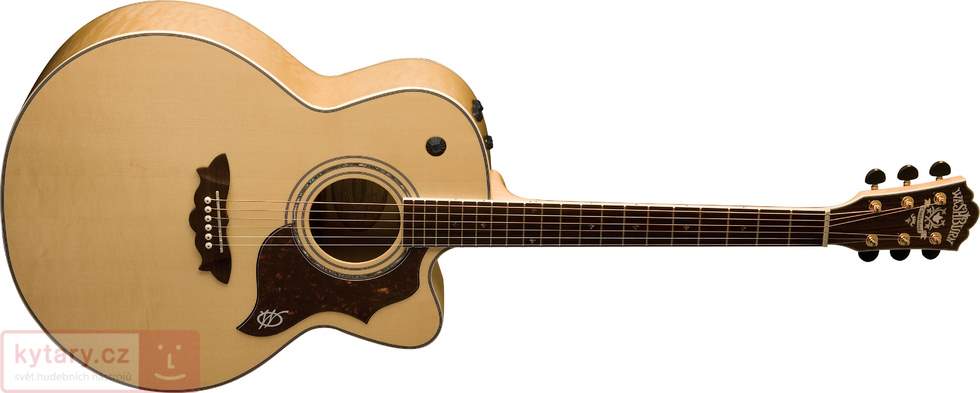 washburn wdflb28sce