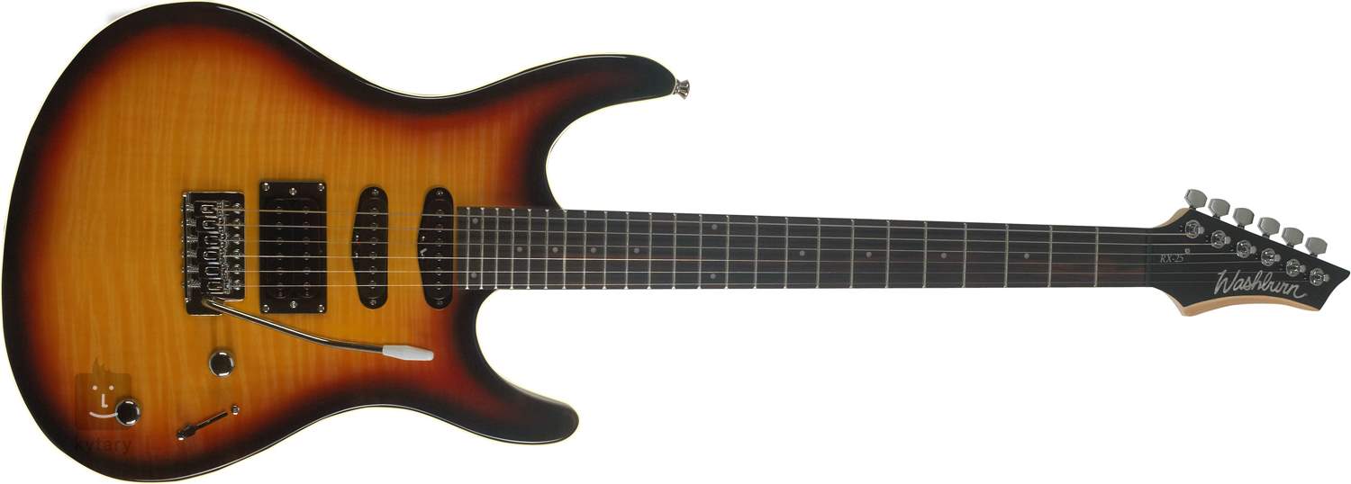 washburn rx20