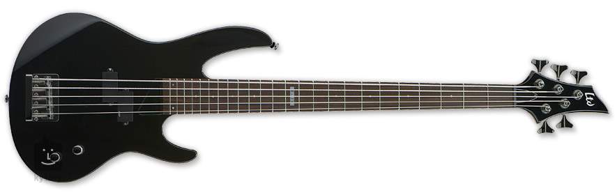 ltd b 55 bass