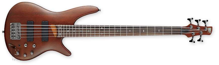 ibanez 505 bass guitar