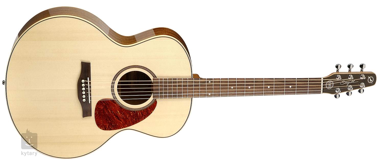 p20e parlor guitar