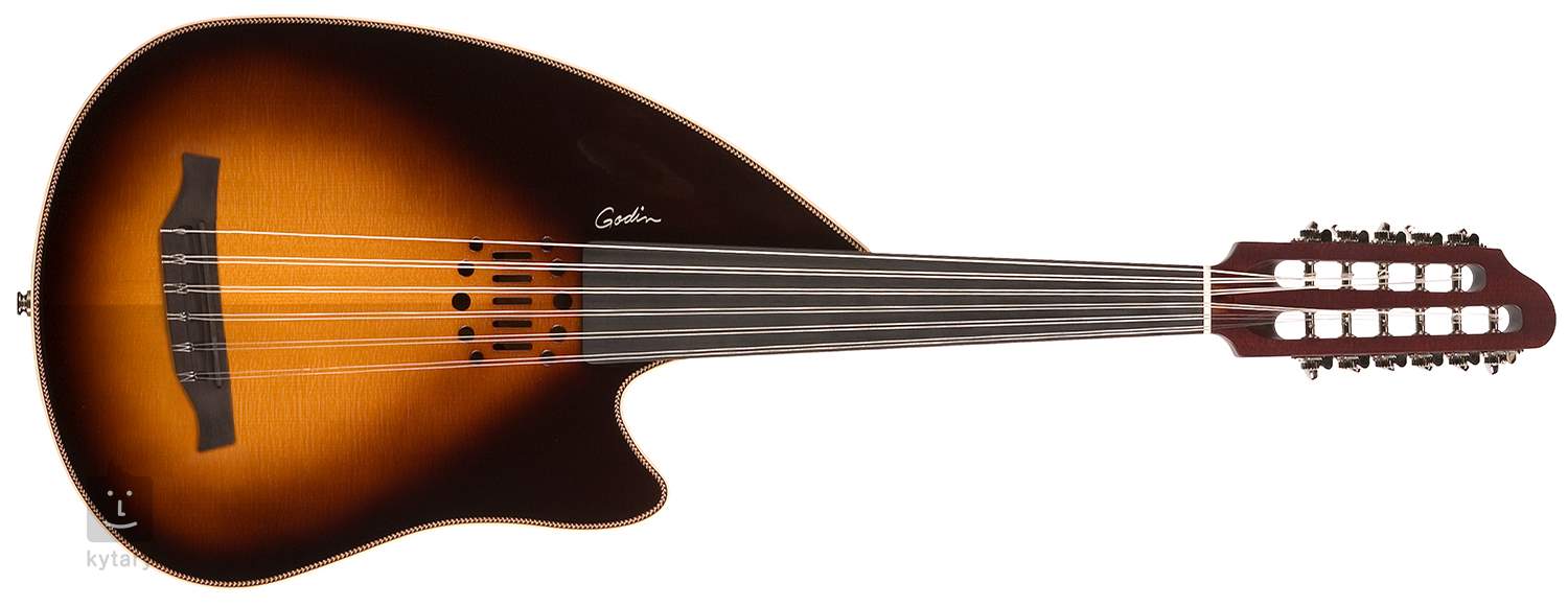 godin multi oud