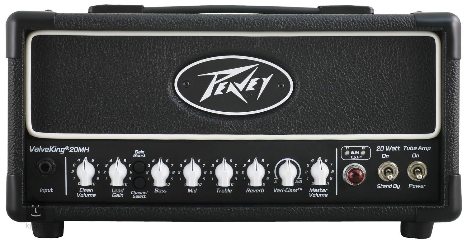 peavey valveking 2 head