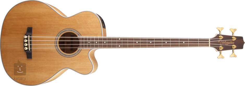 takamine g series acoustic bass