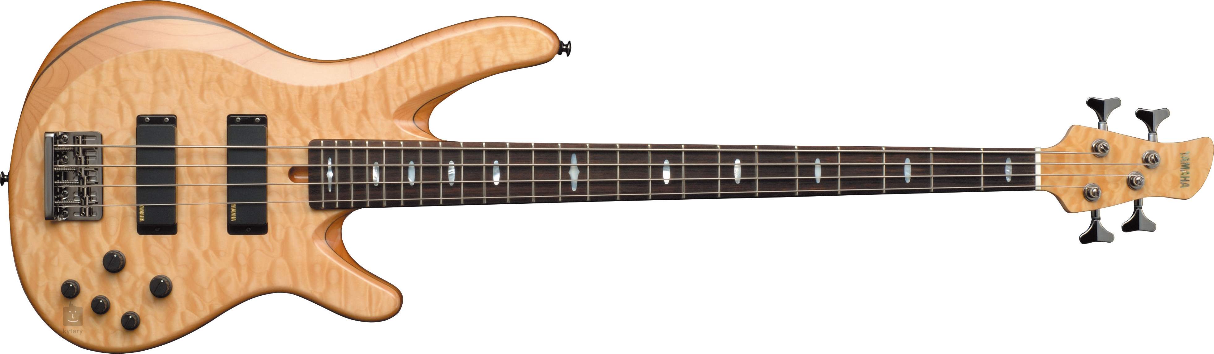 spector performer 5 string bass