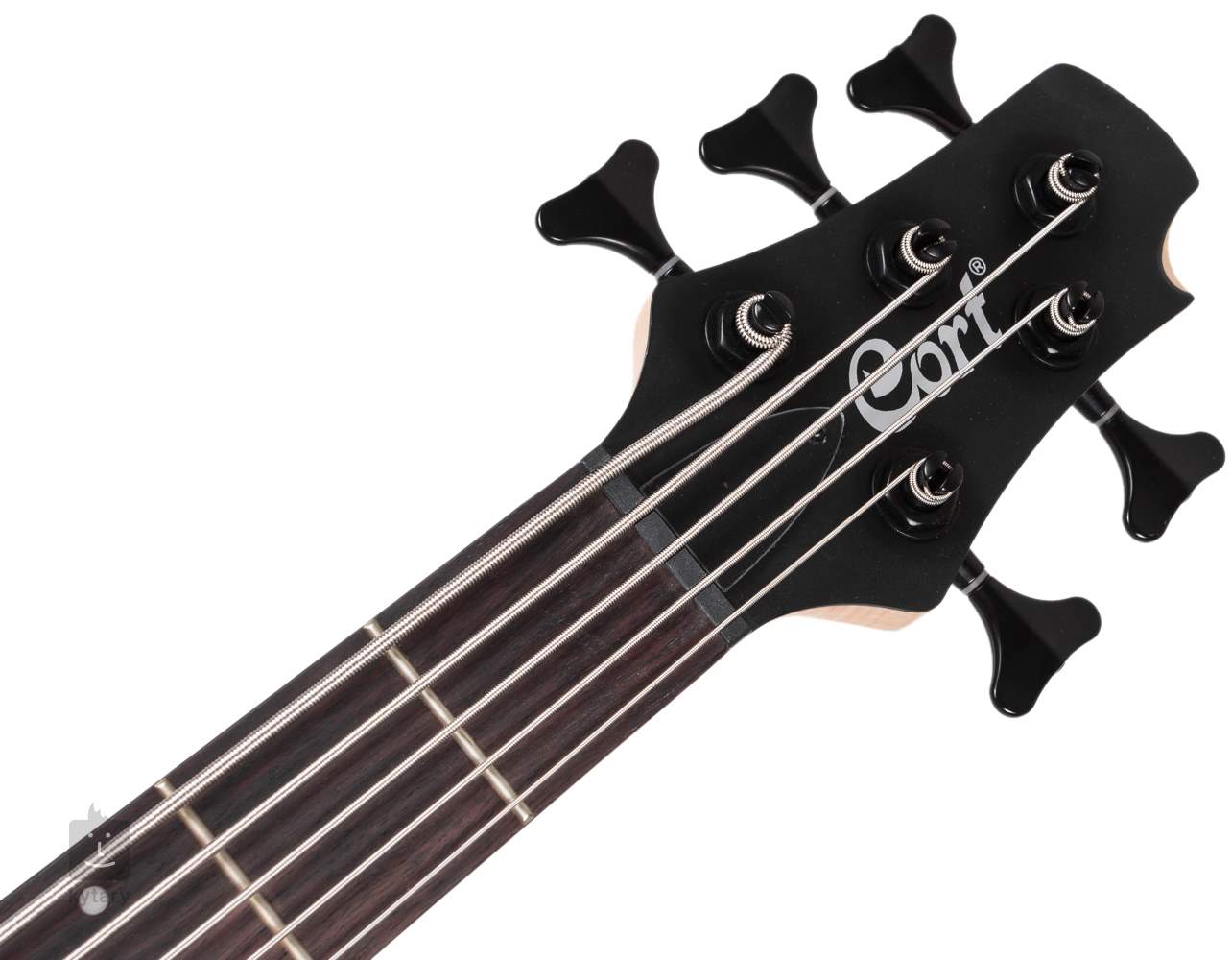 Ibanez opn. Бас Cort Action DLX V as. Cort Action-DLX-V-as-opn Action Series. Бас-гитара Cort Action-DLX-V-as-opn. Бас гитара Cort 5 струн.