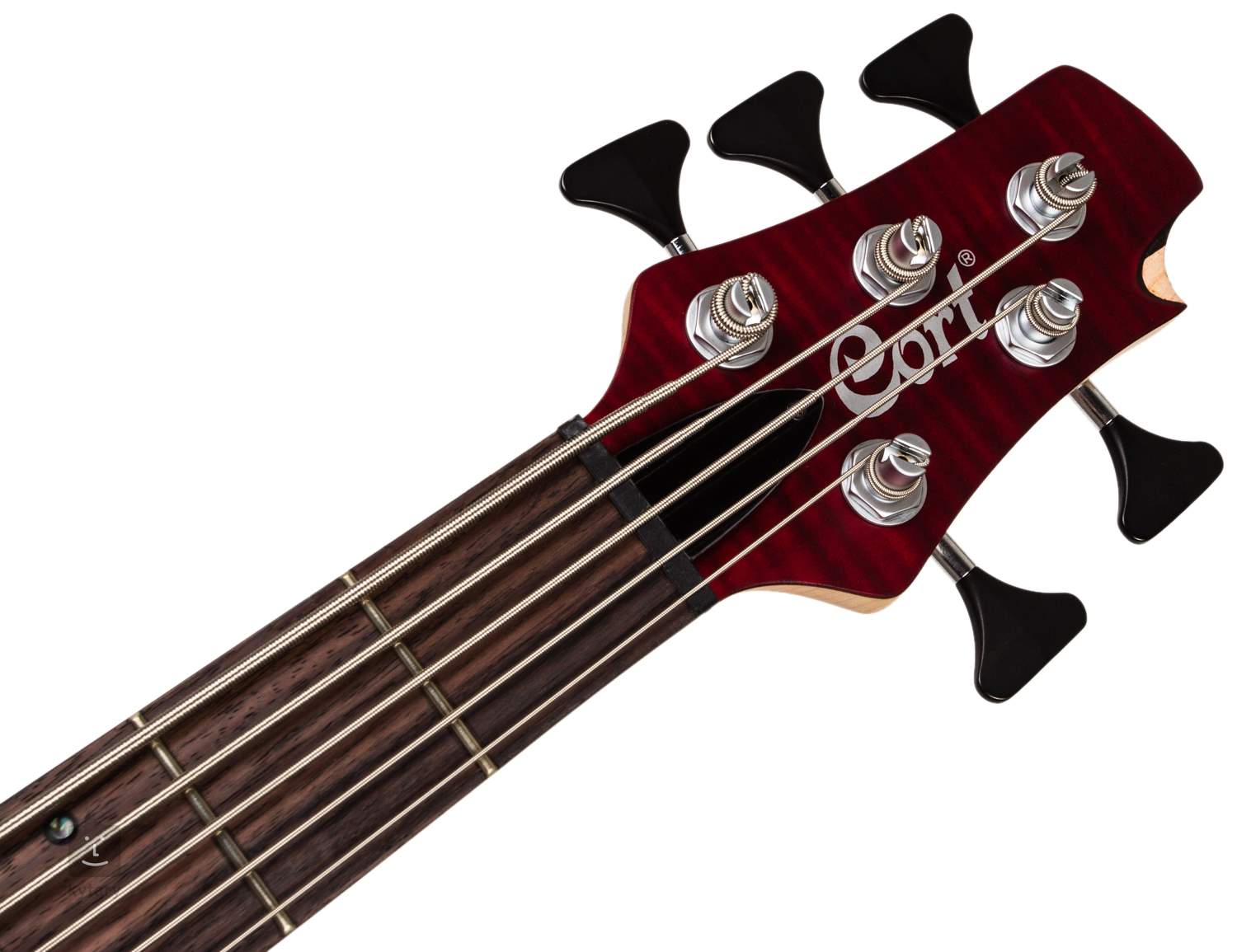 cort bass guitar 5-string
