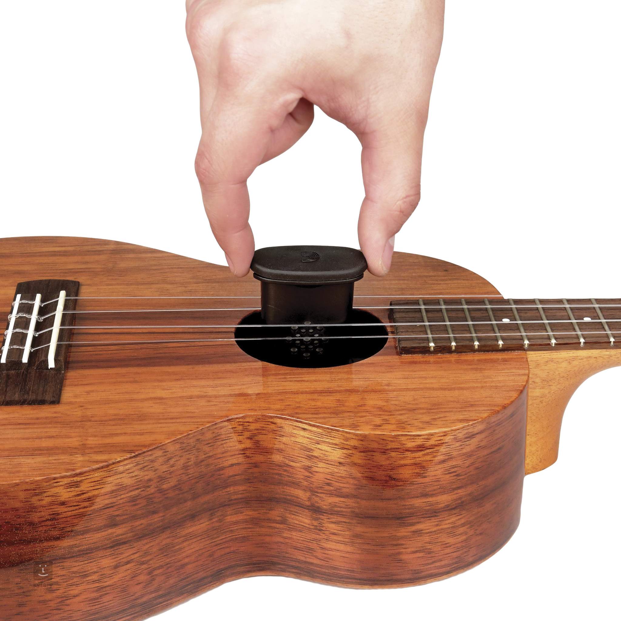 daddario ukulele