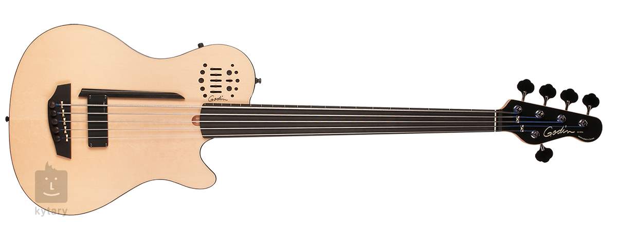 godin a5 ultra bass