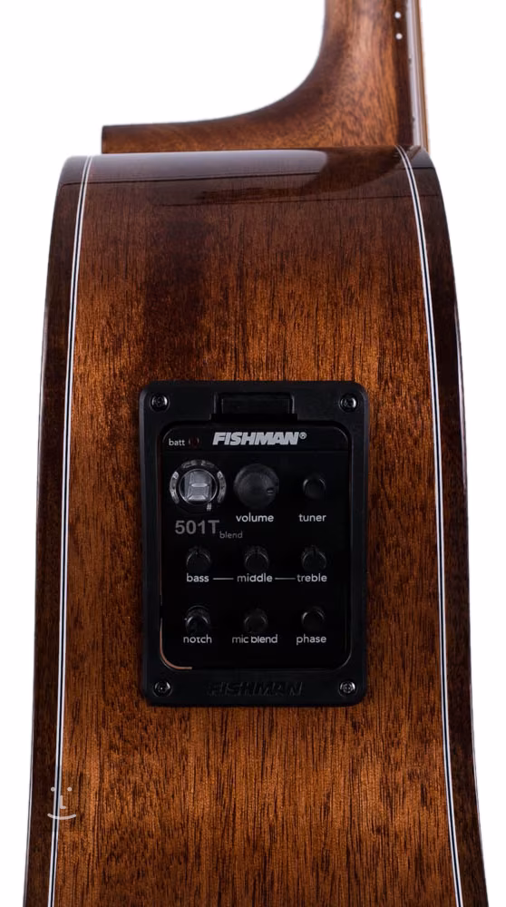 WASHBURN Woodline WLG110SWCEKDU ElectroAcoustic Guitar Kytary.ie