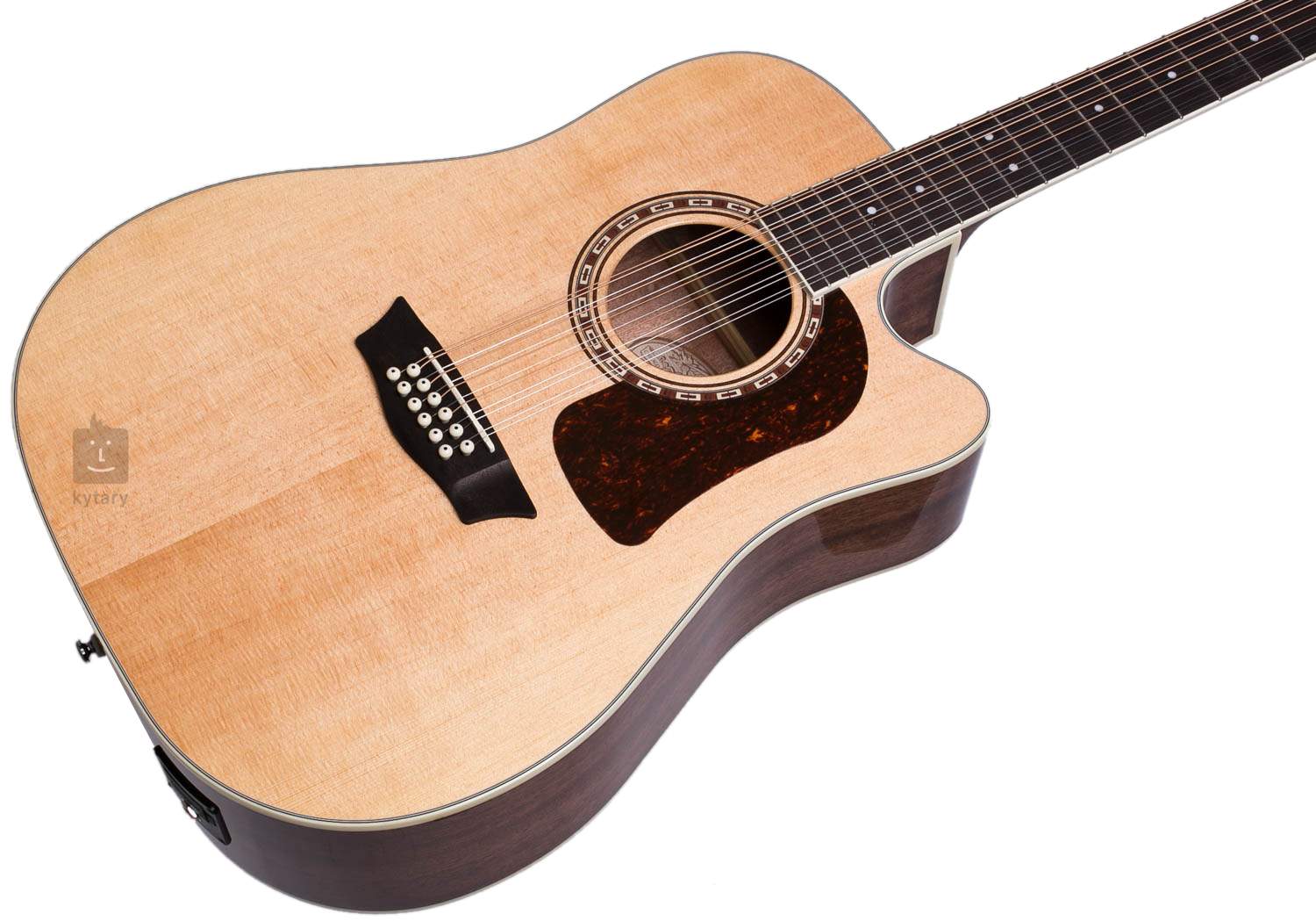 washburn hd10sce12