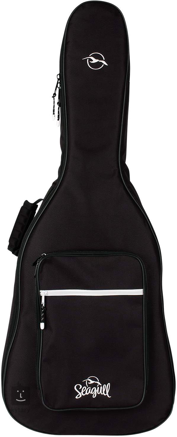 guitar cases for flying