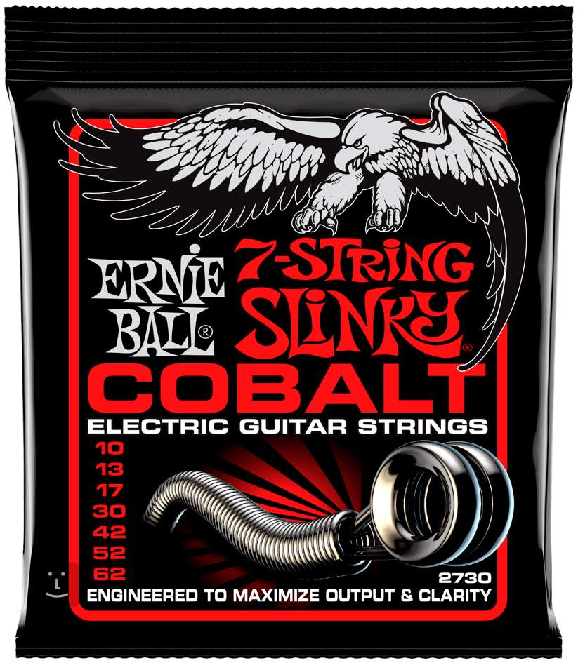 ernie ball skinny top heavy bottom strings