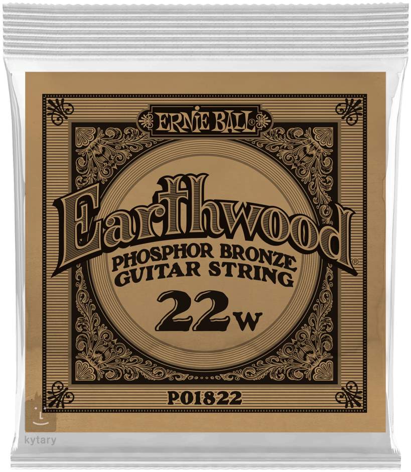 ernie ball single guitar strings