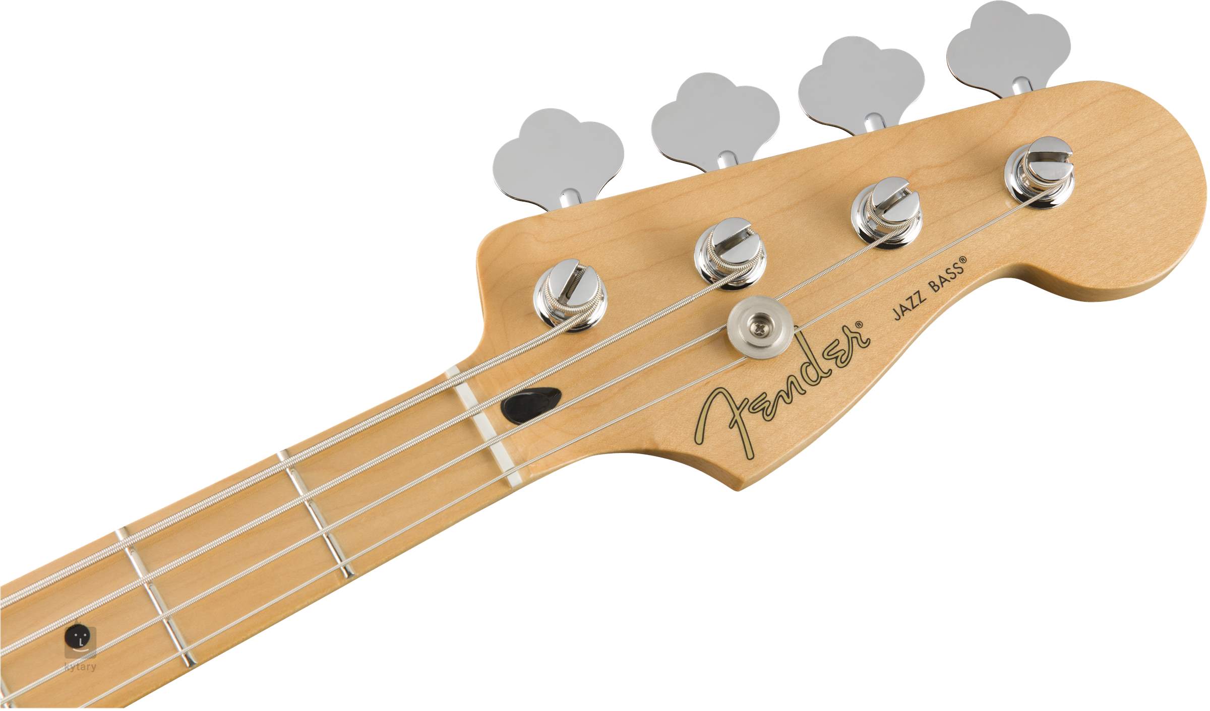 fender player series jazz bass mn pwt