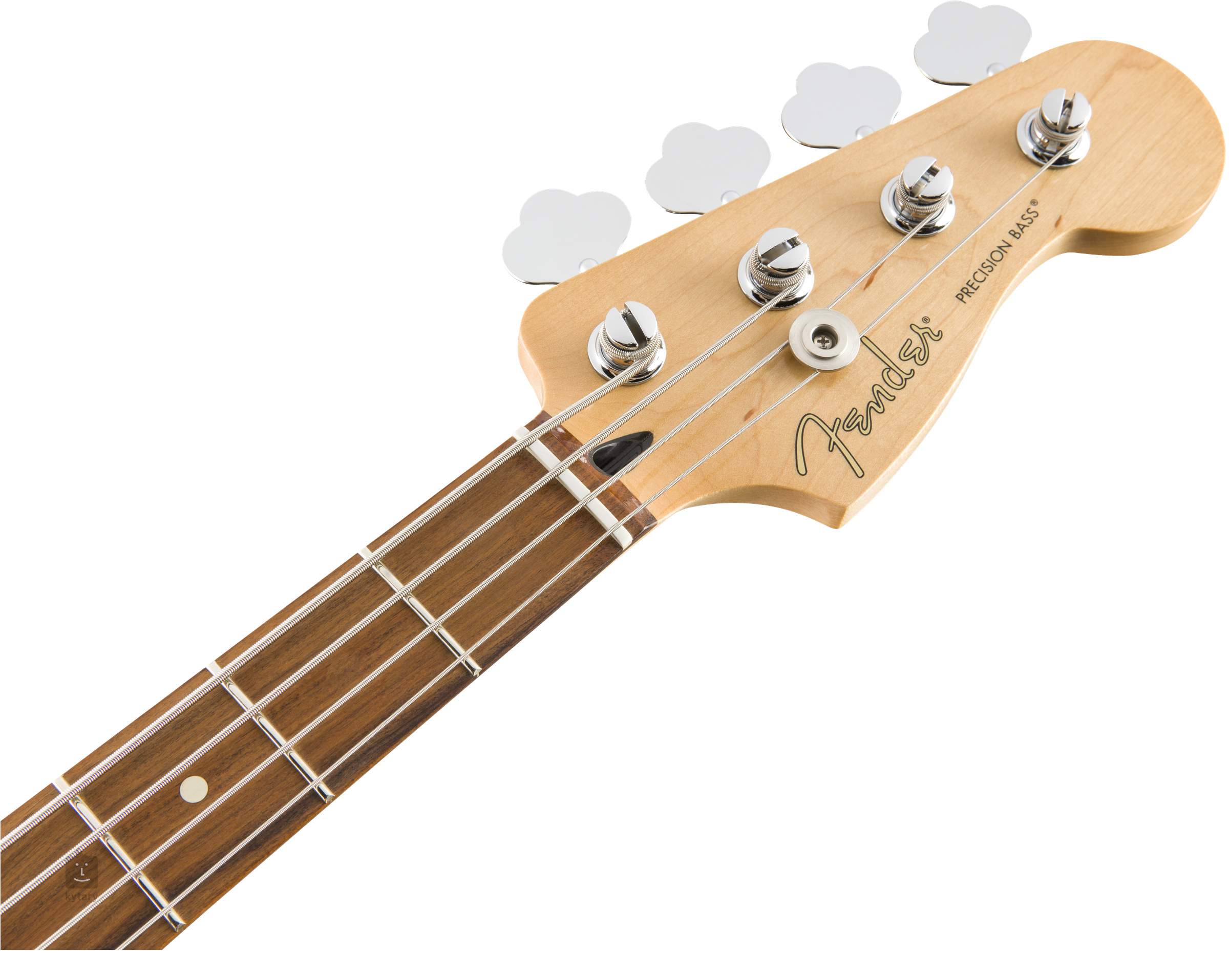 precision bass player