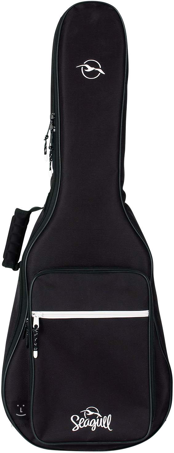 Parlor guitar best sale gig bag