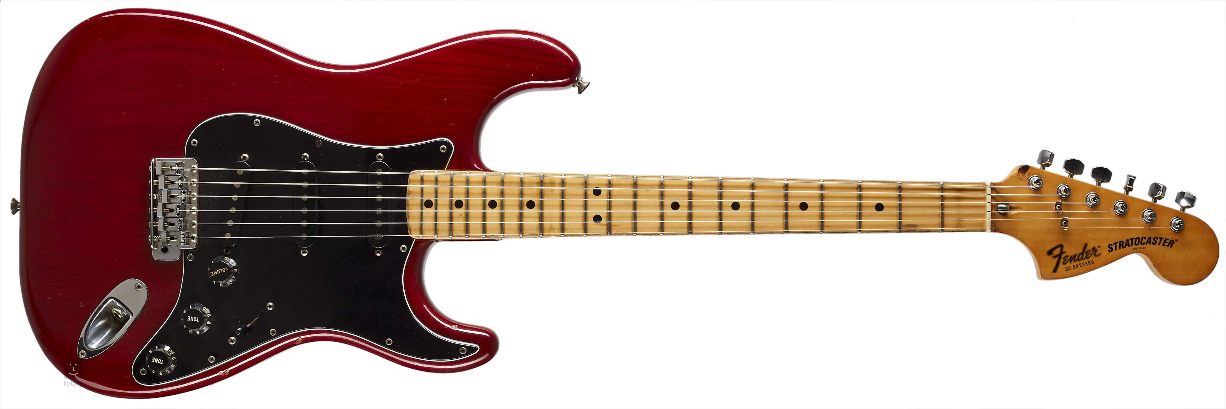 dræbe hykleri Problem FENDER 1979 Stratocaster Wine Red Electric Guitar