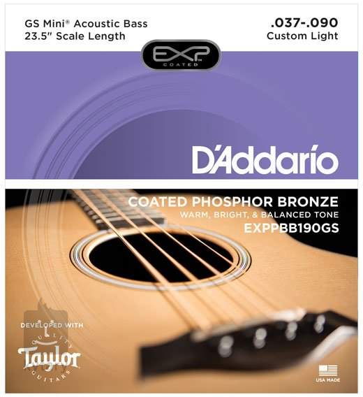 flatwound acoustic bass guitar strings