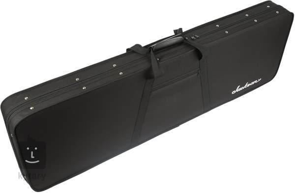 bass guitar soft case