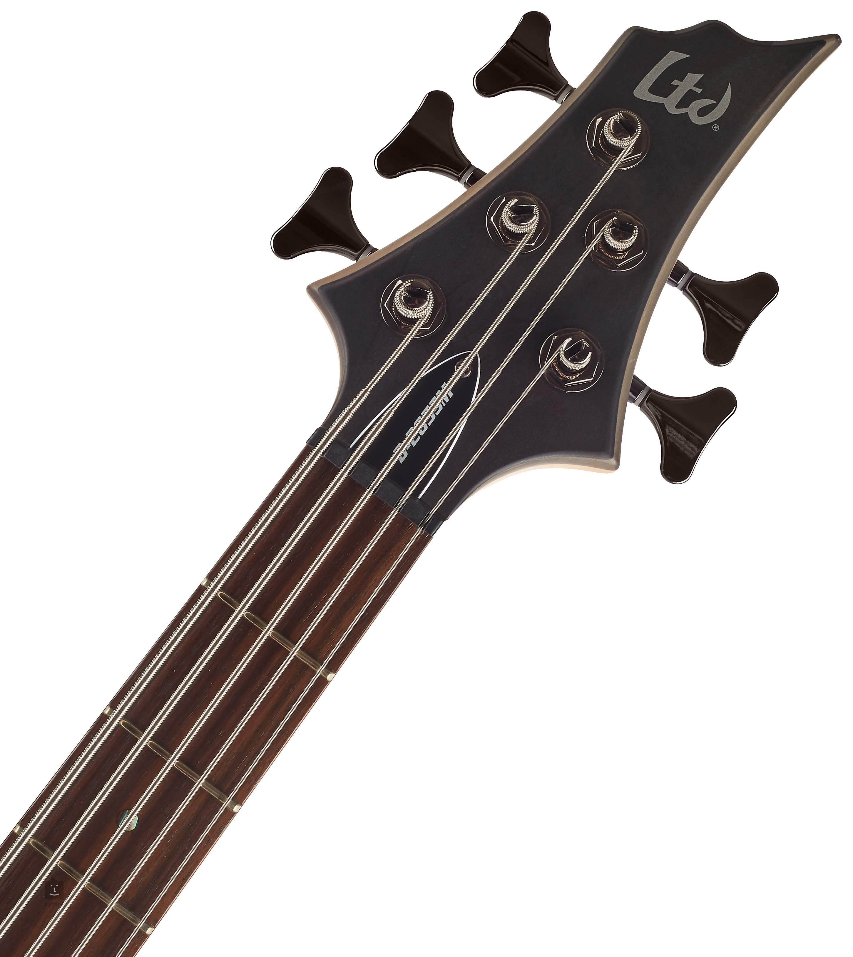 esp ltd b205