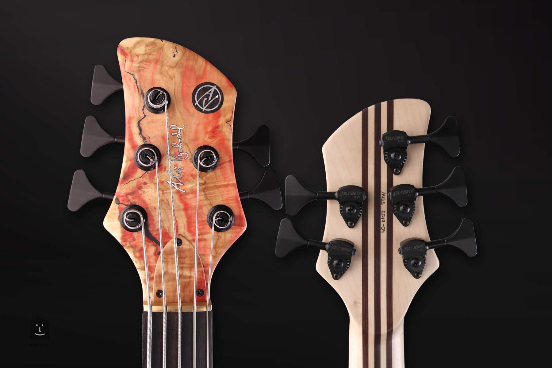 AV BASSES AVS 5 EFB Box Elder Electric Bass Guitar