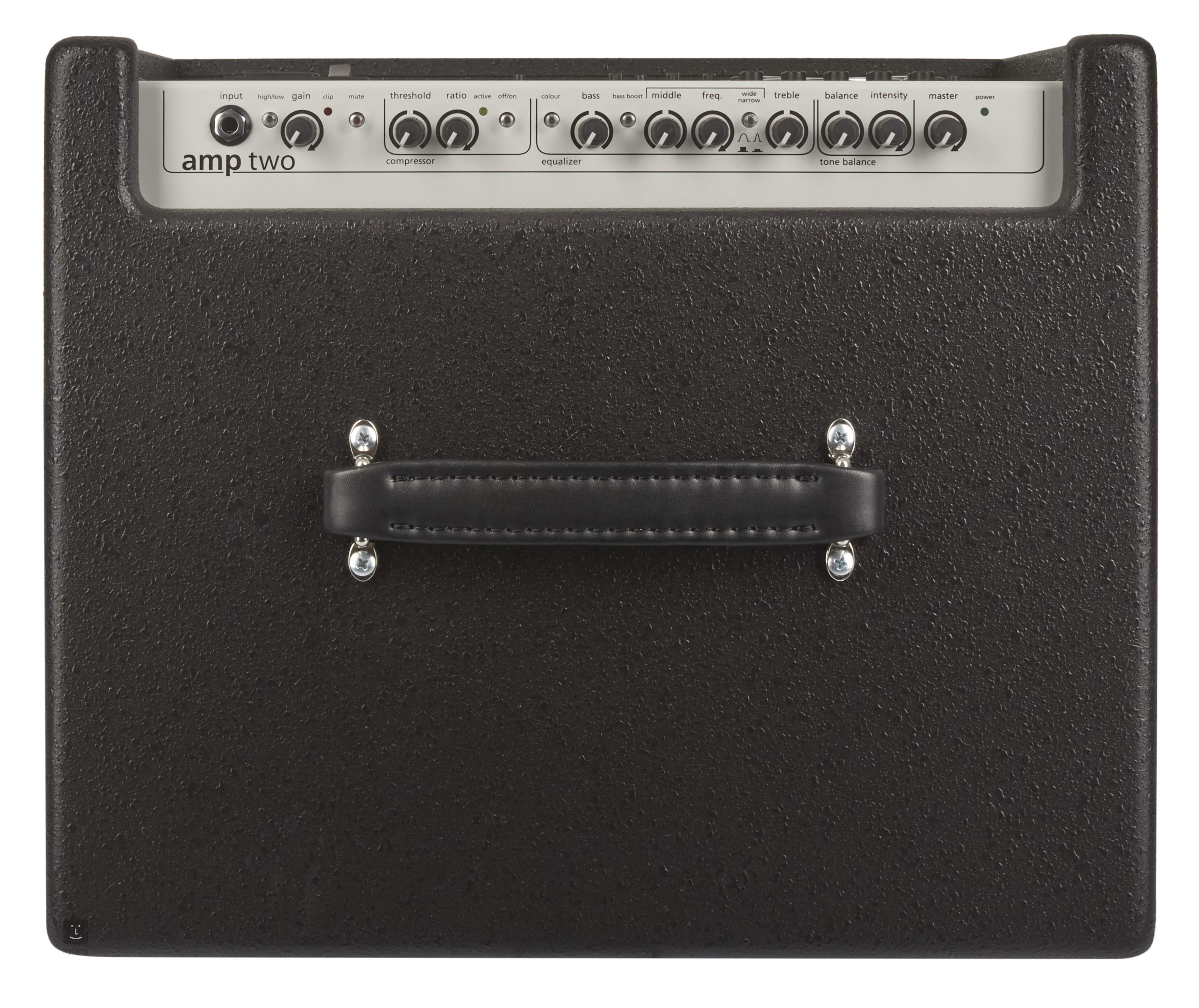 Aer deals bass amp