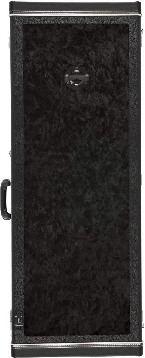 Fender display deals case