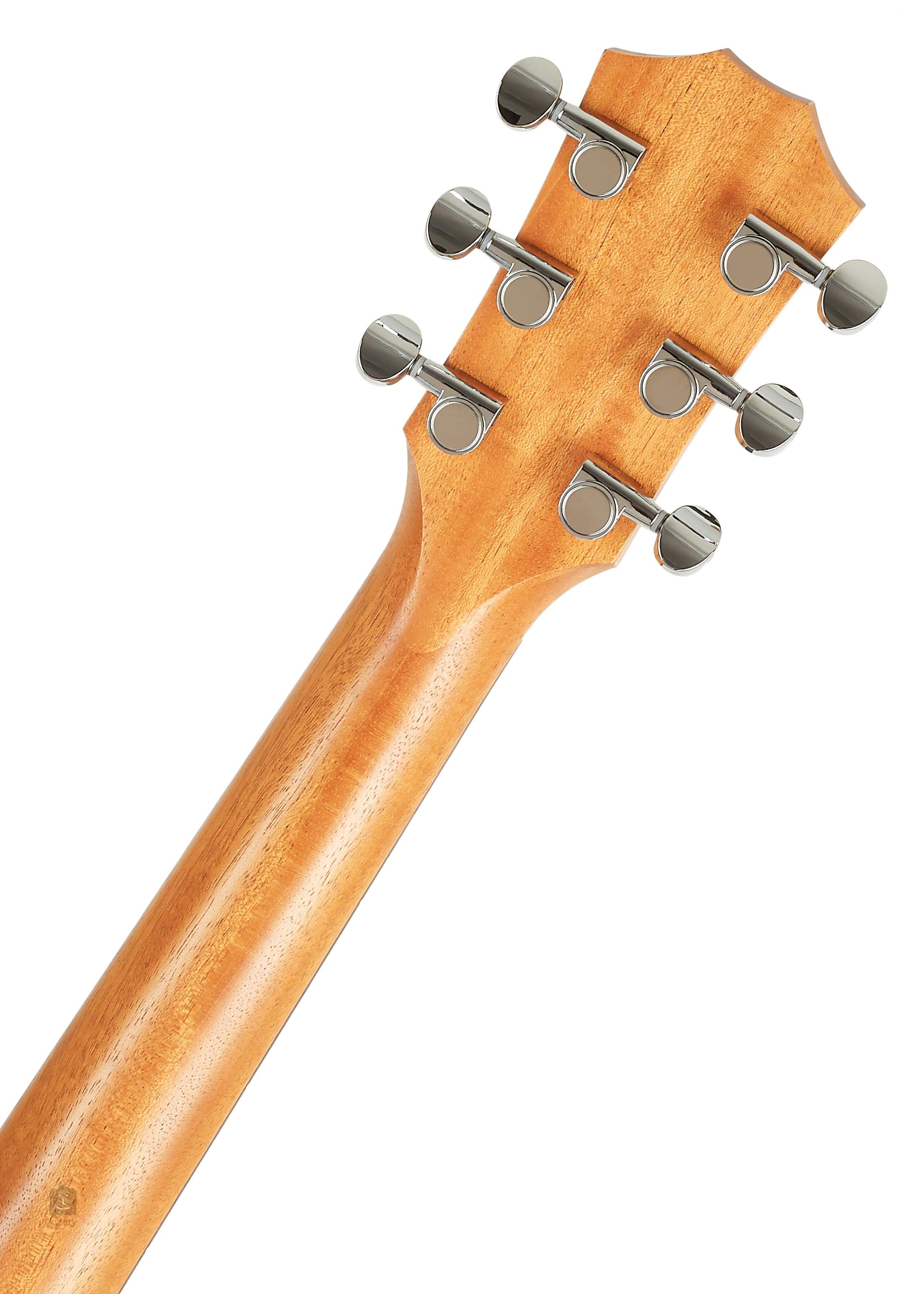 taylor gs mini neck