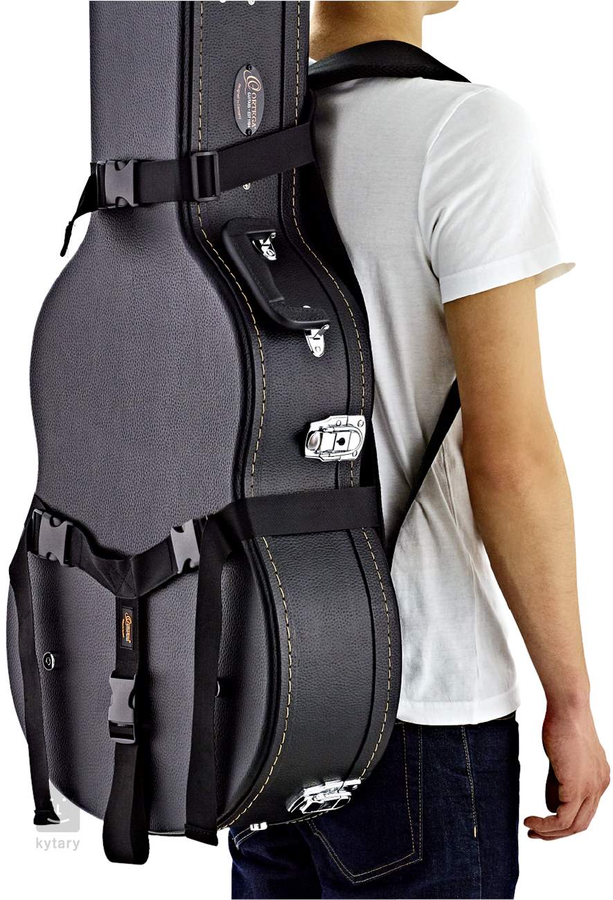 Guitar best sale case straps