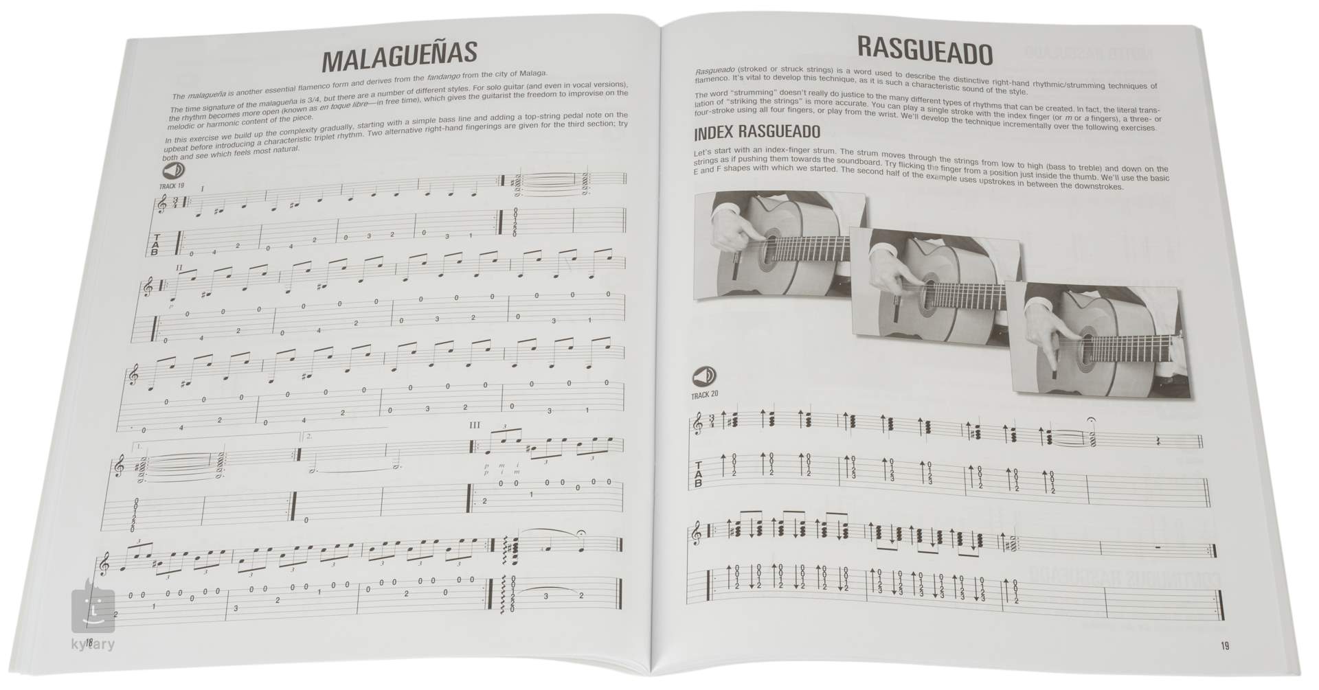 hal leonard flamenco guitar method